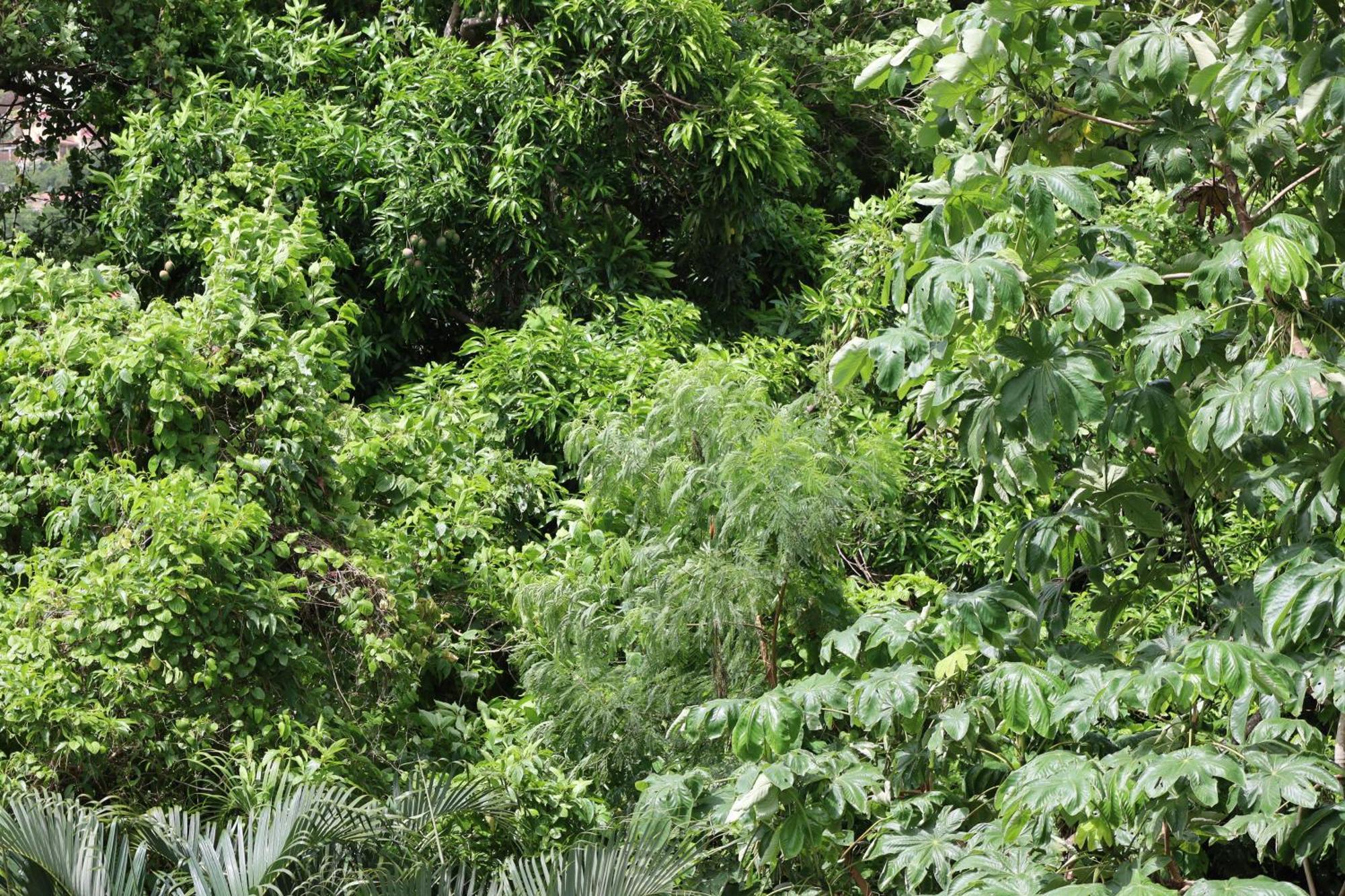 My Gem In The Caribbean Apartment Castries Exterior photo