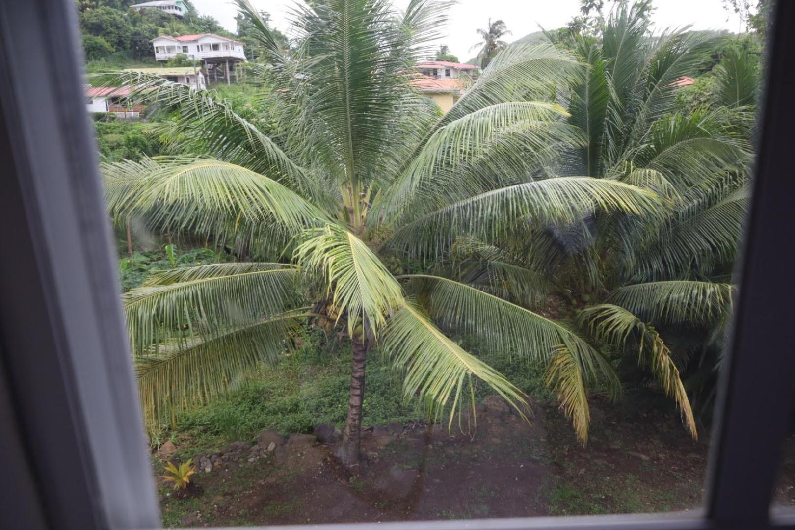 My Gem In The Caribbean Apartment Castries Exterior photo
